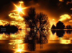Landscape, Animated Gif, Animated Gifs, Animation. Water Reflections